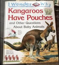 Image of I Wonder Why Kangaroos Have Pouches and Other Questions About Baby Animals